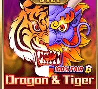 Dragon & Tiger — game at MCO99