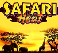 SAFARI Heat — game at MCO99